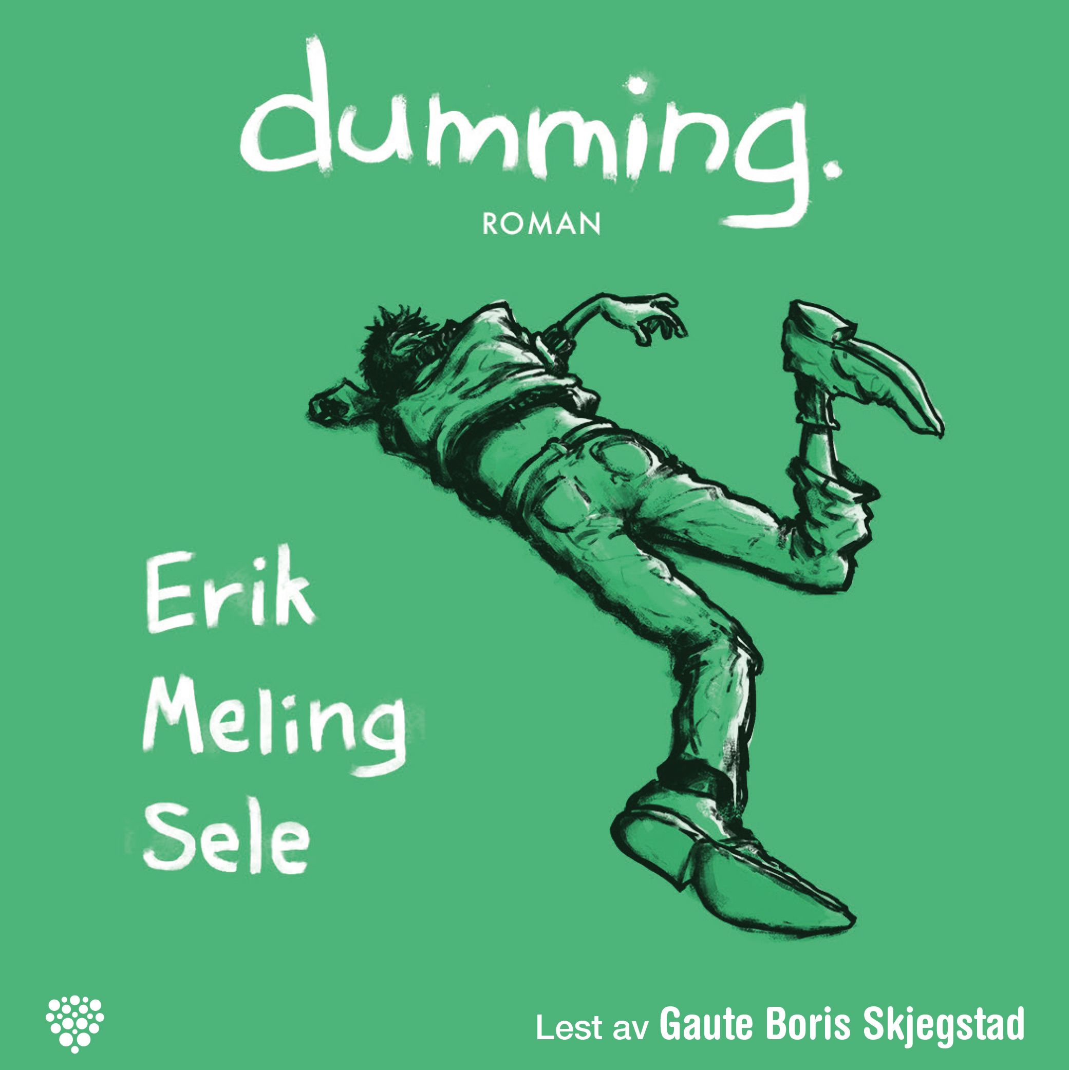 Dumming - roman