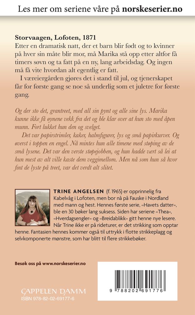 Skammens hus
