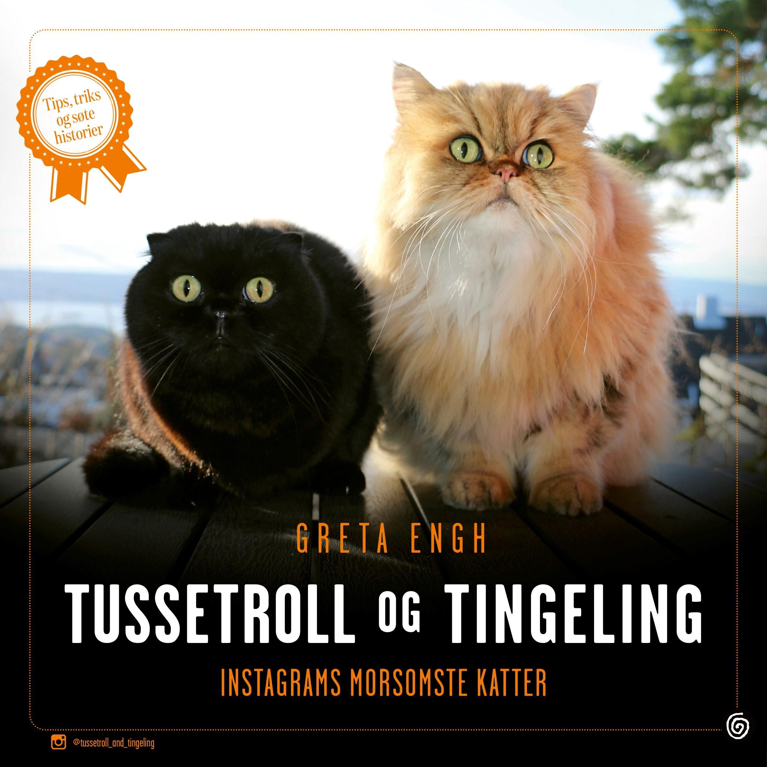 Tussetroll og Tingeling - Instagrams morsomste katter