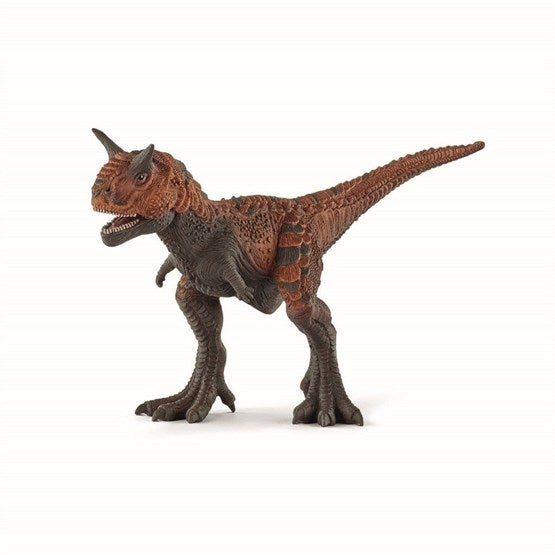 Carnotautus