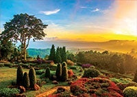 Puslespill 1000 Beautiful Garden Educa