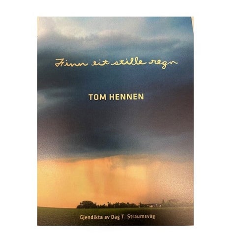 Finne eit stille regn