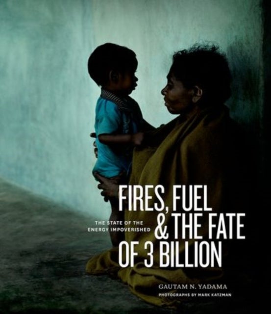 Fires, Fuel, and the Fate of 3 Billion - The State of the Energy Impoverished