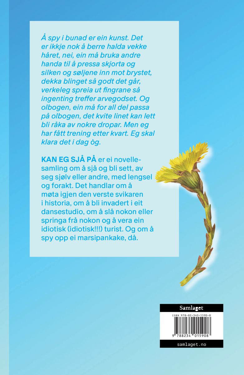 Kan eg sjå på