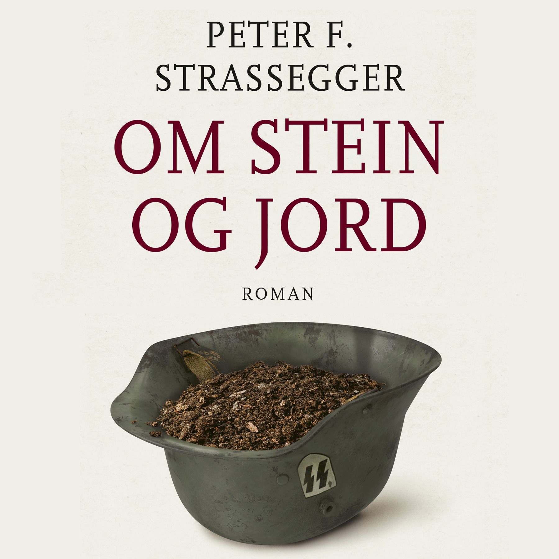 Om stein og jord - roman