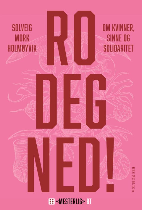 Ro deg ned! - om kvinner, sinne og solidaritet