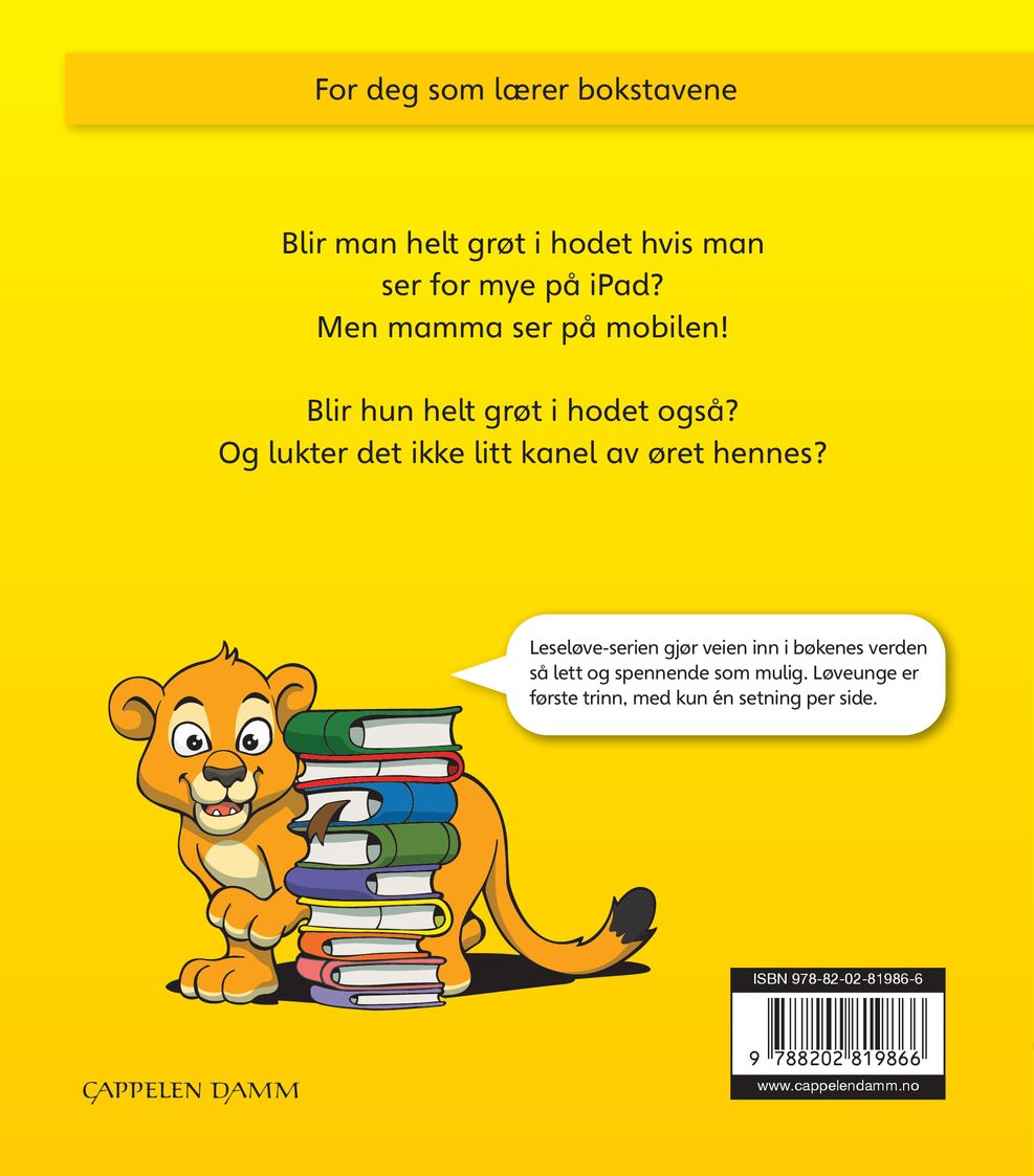 Grøt i hodet