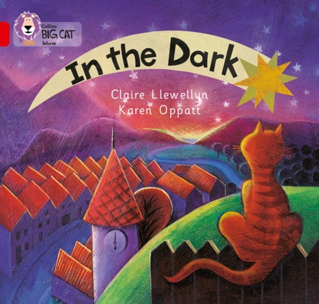 BIG CAT - IN THE DARK - Band 02a/Red a