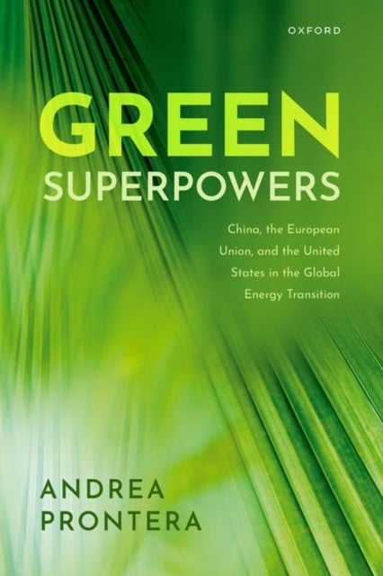 Green Superpowers - China, the European Union, and the United States in the Global Energy Transition