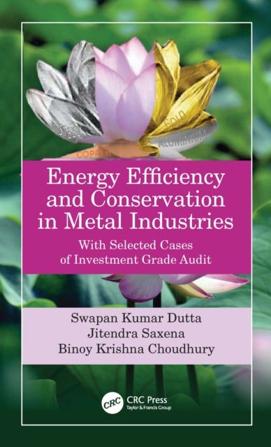 Energy Efficiency and Conservation in Metal Industries - With Selected Cases of Investment Grade Audit