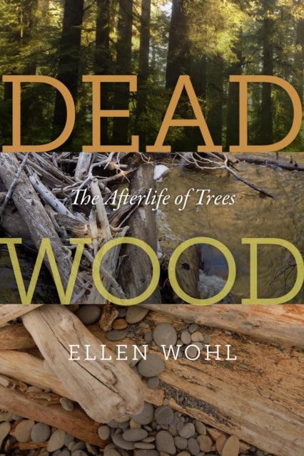 Dead Wood - The Afterlife of Trees
