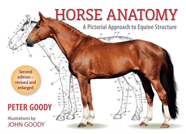 Horse Anatomy - A Pictorial Approach to Equine Structure