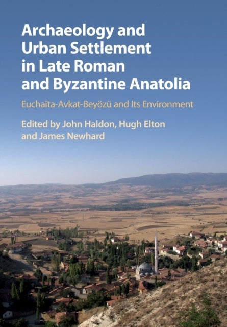 Archaeology and Urban Settlement in Late Roman and Byzantine Anatolia - Euchaita-Avkat-Beyozu and its Environment