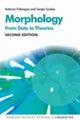 Morphology