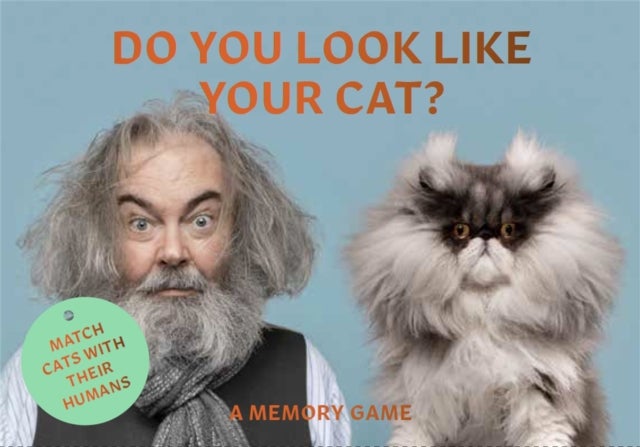 Spill Do Uou Look Like Your Cat ENG