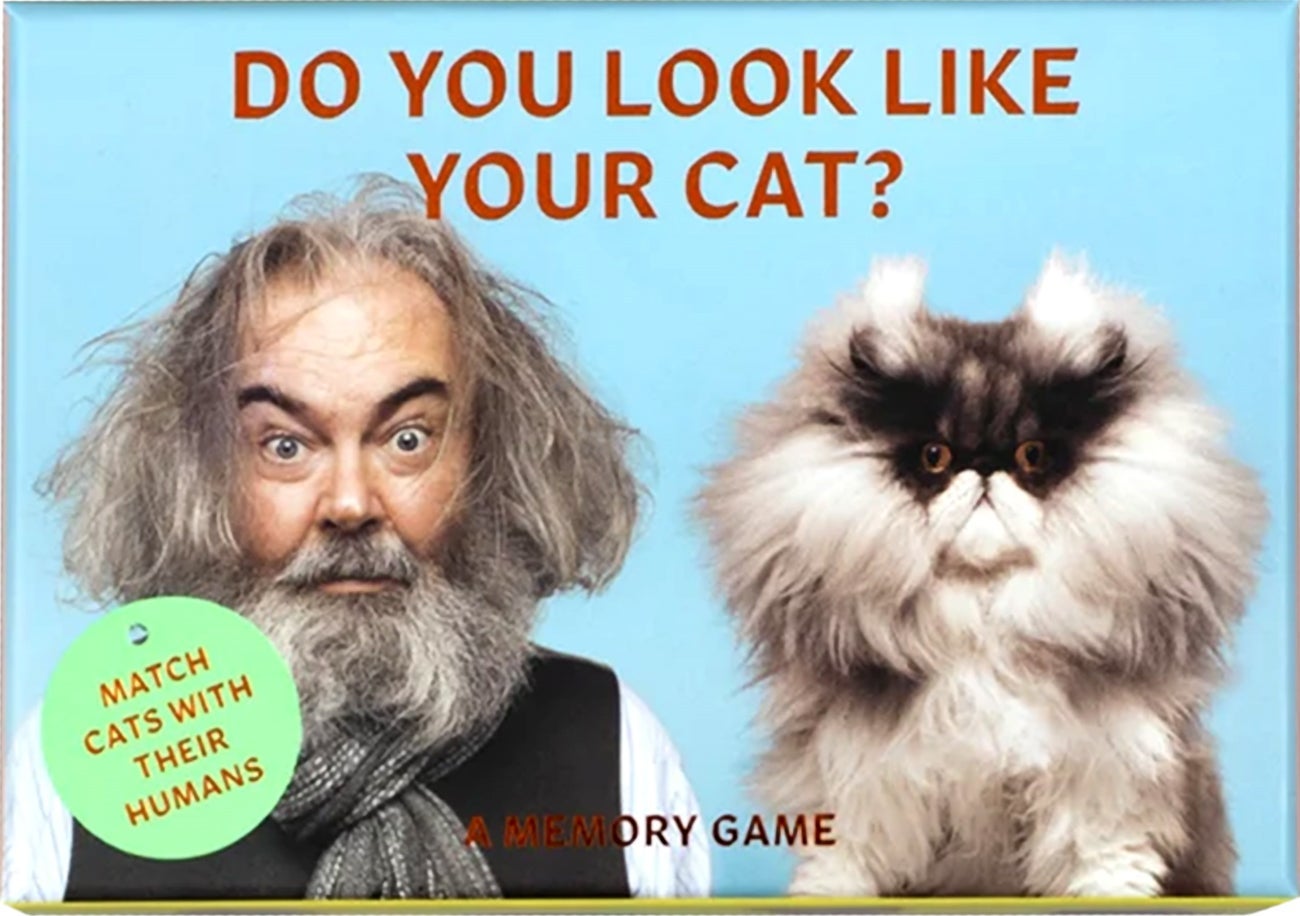 Spill Do Uou Look Like Your Cat ENG