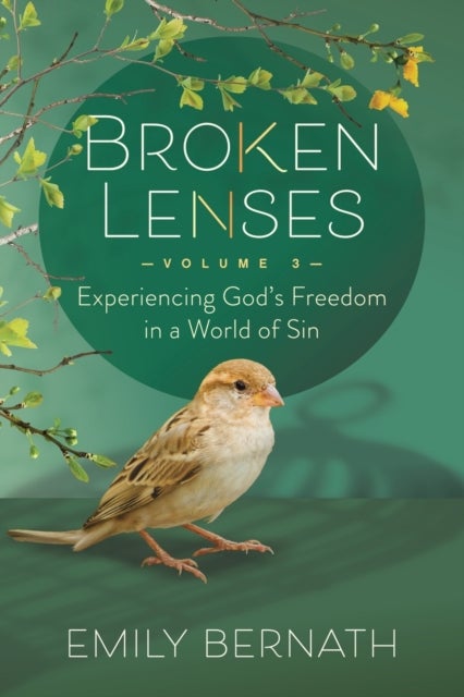 Broken Lenses Volume 3 - Experiencing God’s Freedom in a World of Sin