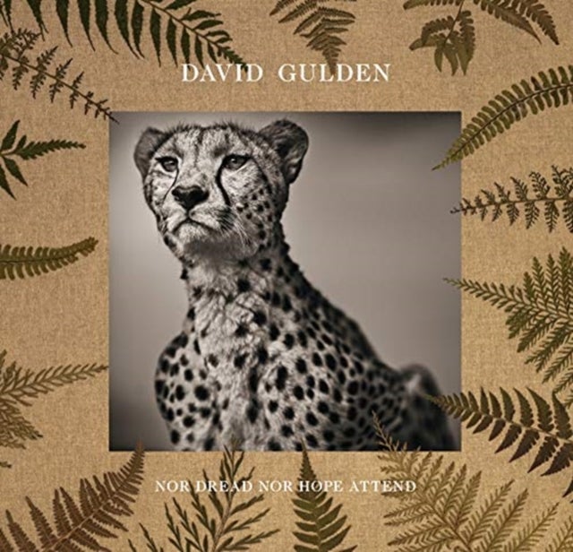 David Gulden: Nor Dread Nor Hope Attend - Photographs From The Plains of Africa