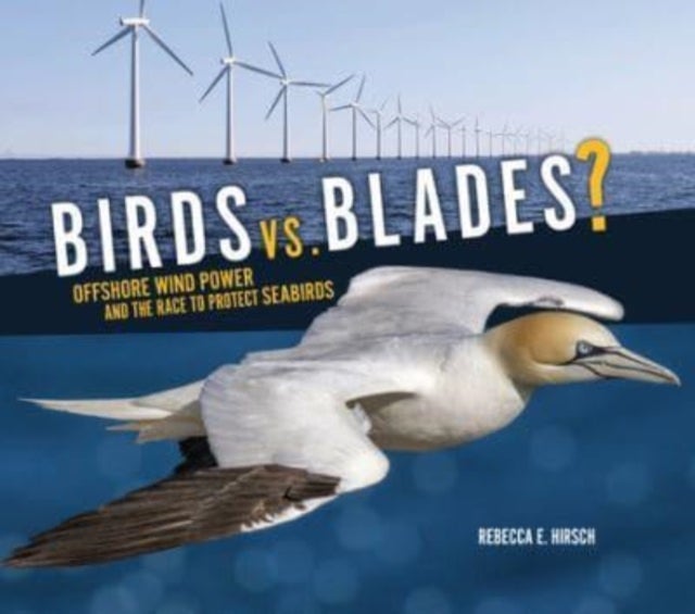 Birds vs. Blades? - Offshore Wind Power and the Race to Protect Seabirds