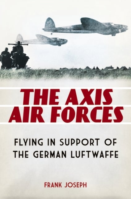 The Axis Air Forces - Flying in Support of the German Luftwaffe