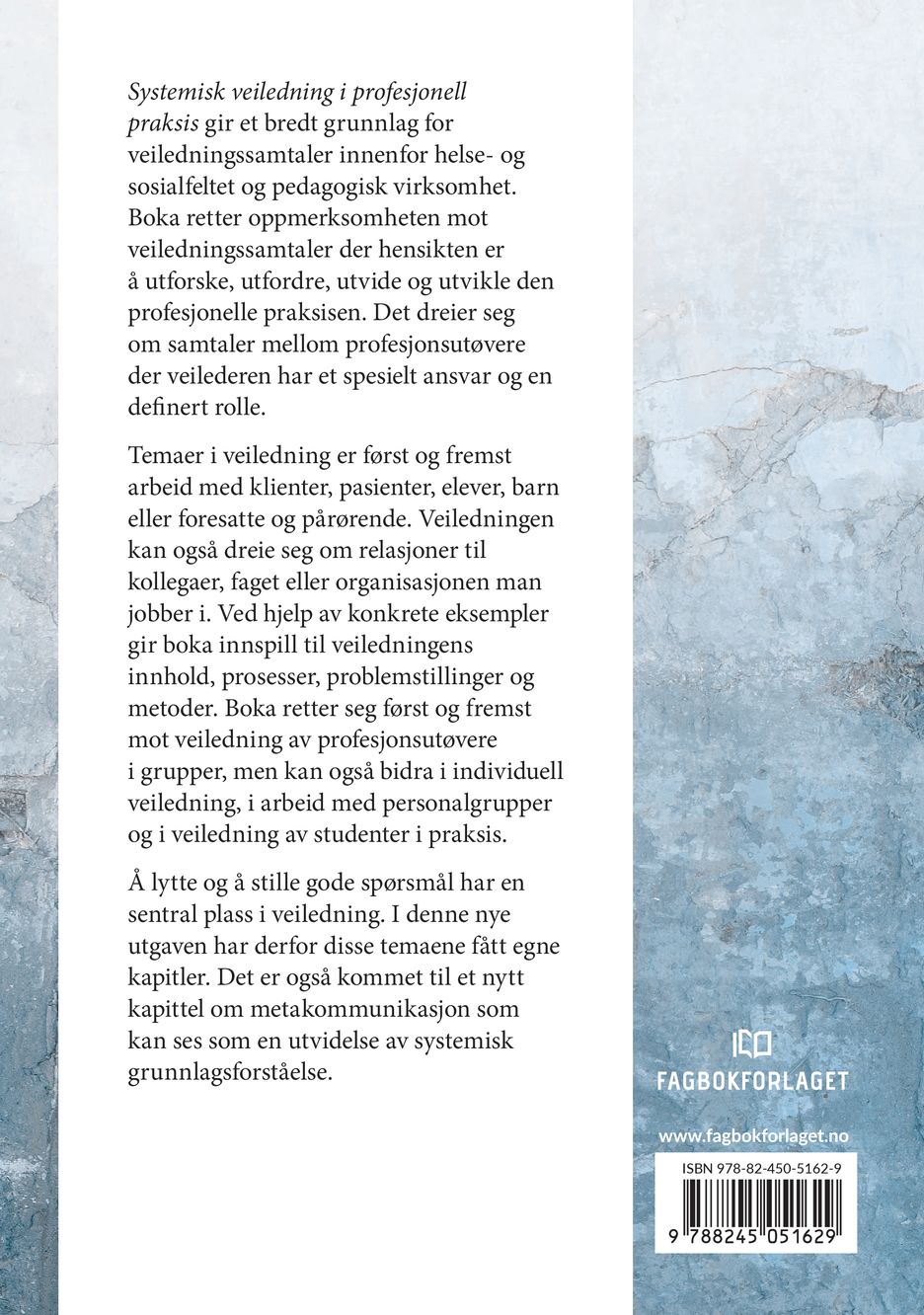Systemisk veiledning i profesjonell praksis
