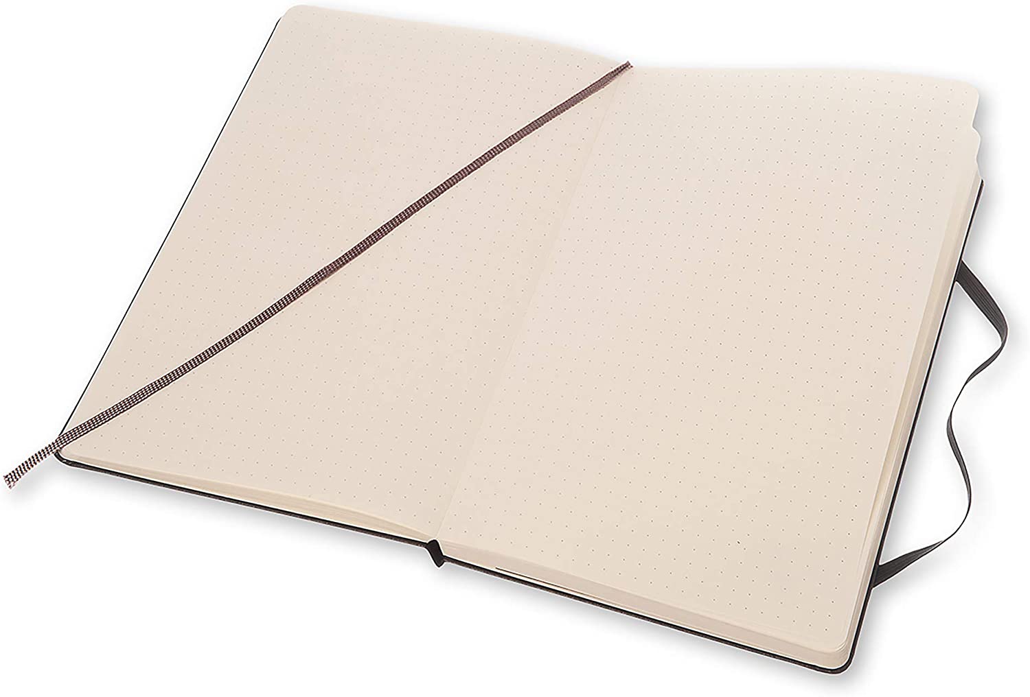 Moleskine Notatbok Dot Hard Large Sort