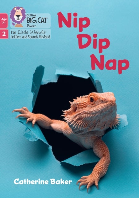 BIG CAT LW 7+_NIP DIP NAP - Phase 2 Set 2