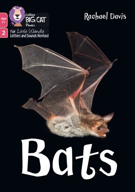 Bats - Phase 2 Set 5