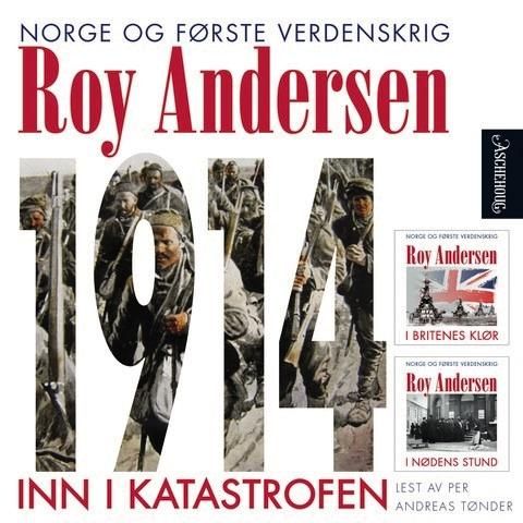 1914 - inn i katastrofen : Norge og første verdenskrig