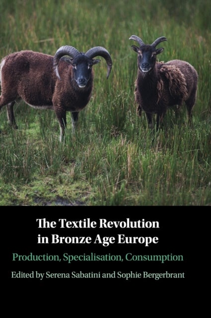 The Textile Revolution in Bronze Age Europe - Production, Specialisation, Consumption