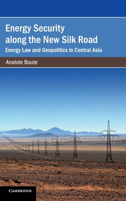 Energy Security along the New Silk Road