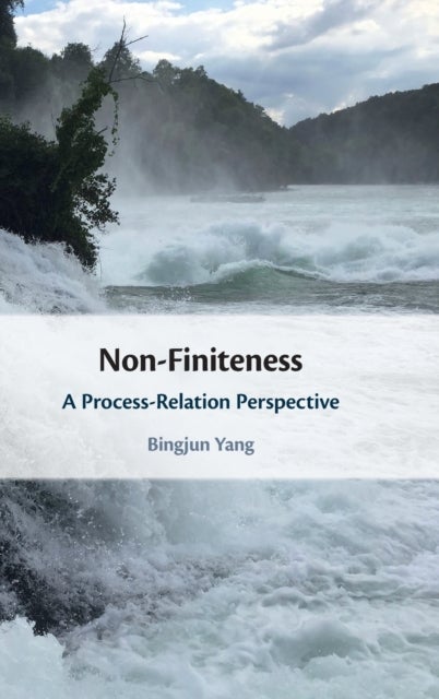 Non-Finiteness - A Process-Relation Perspective