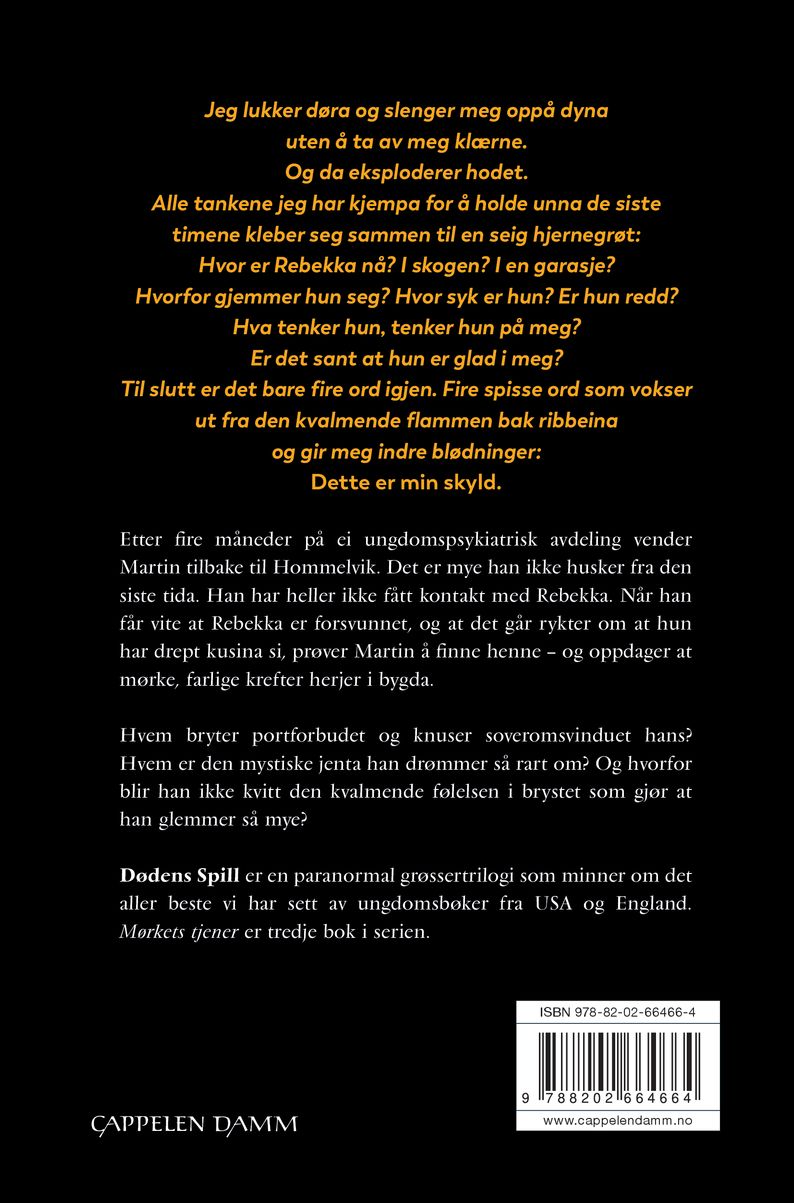 Mørkets tjener