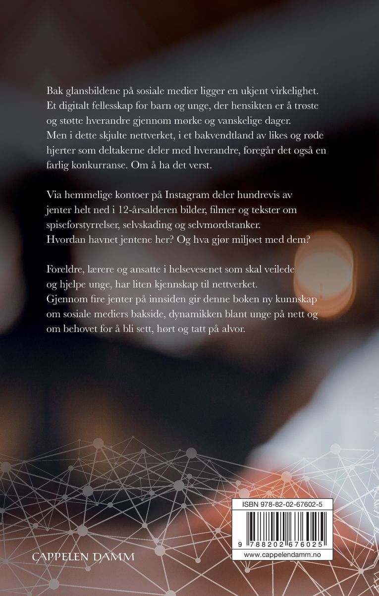 Det skjulte nettverket