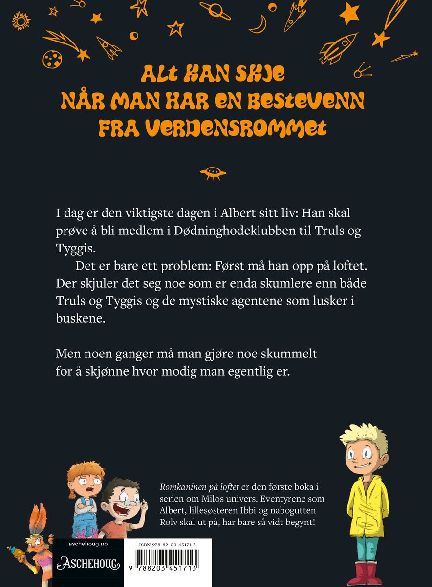 Romkaninen på loftet