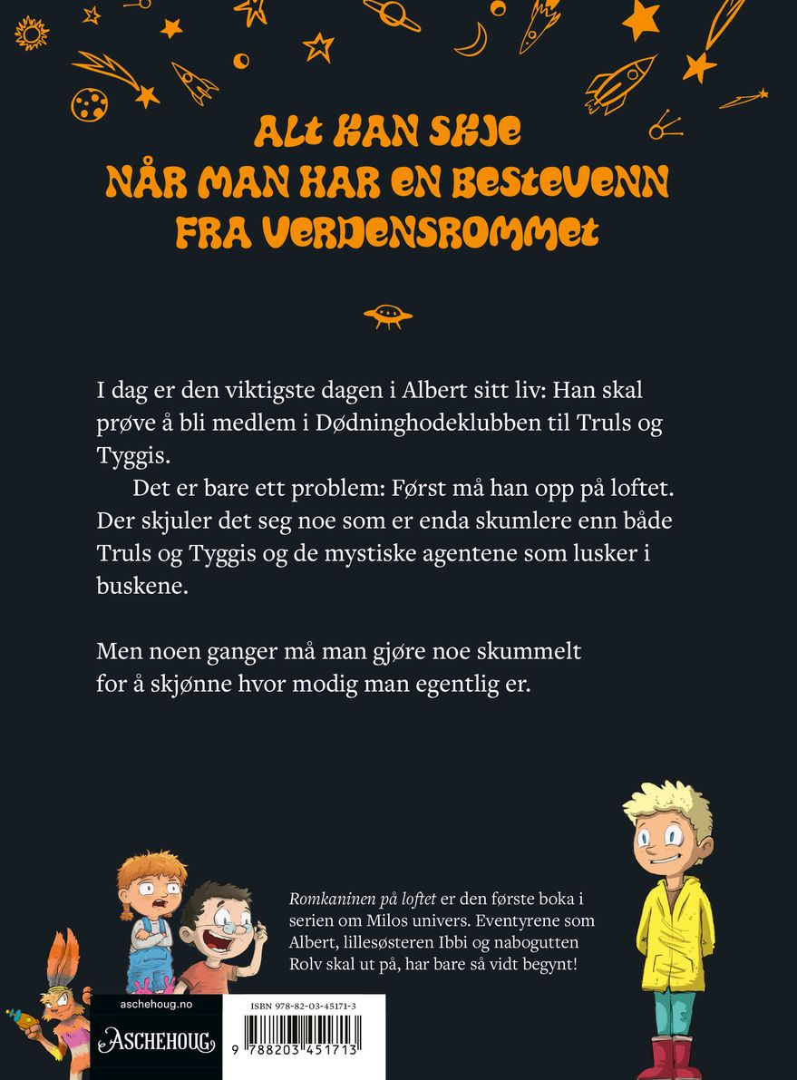 Romkaninen på loftet
