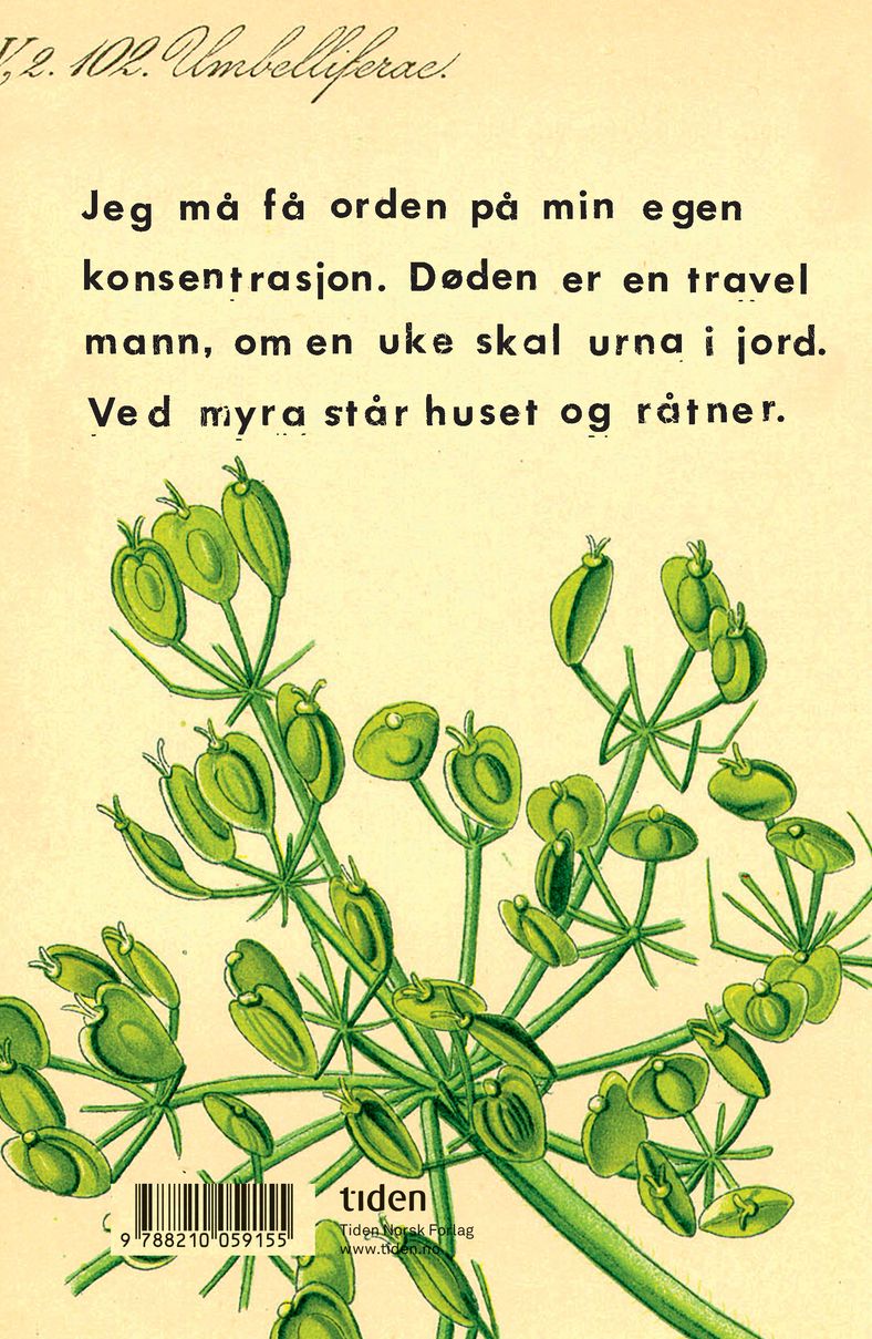 Jenter i trær
