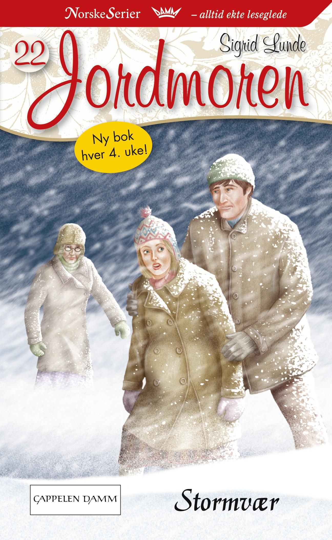Stormvær