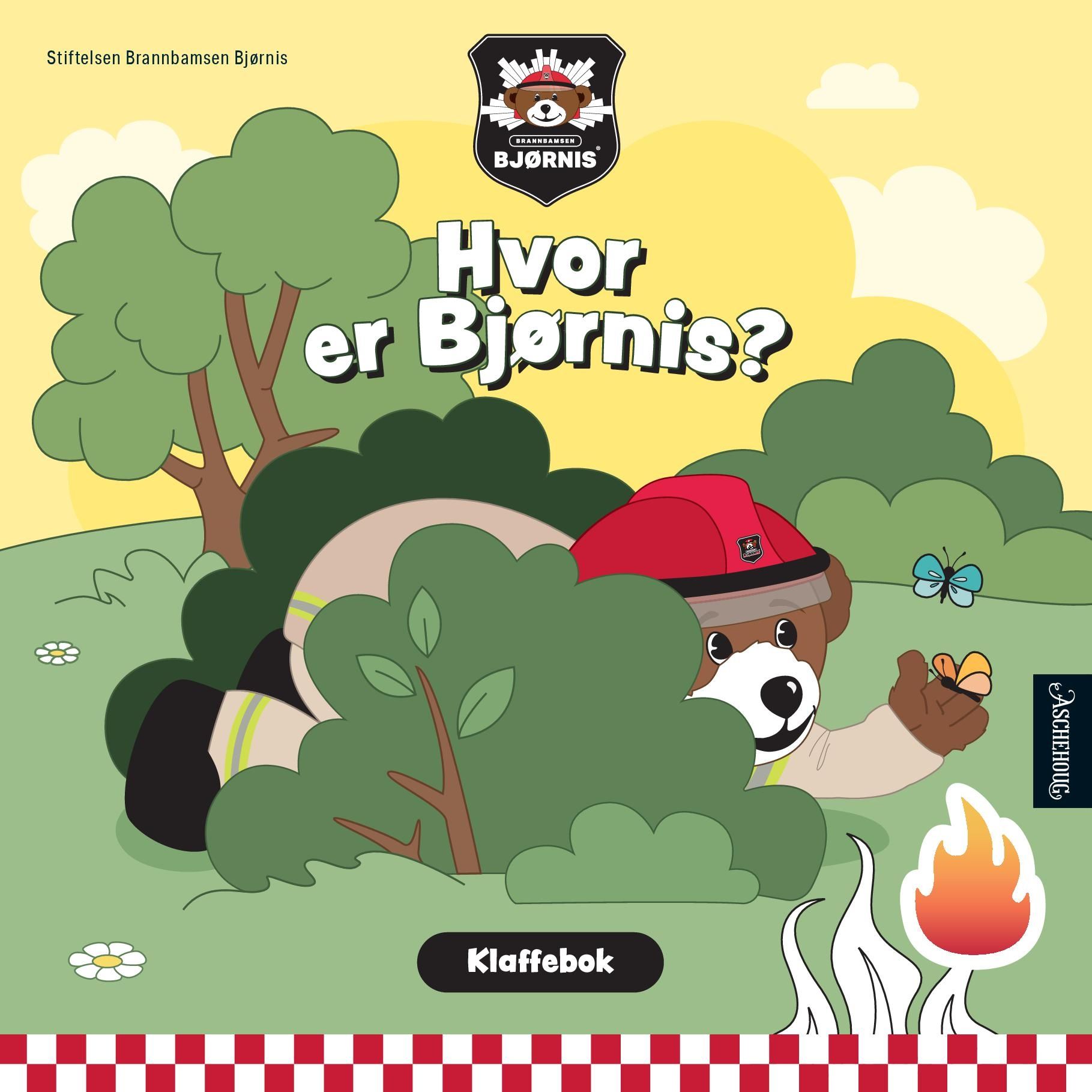 Hvor er Bjørnis? - klaffebok