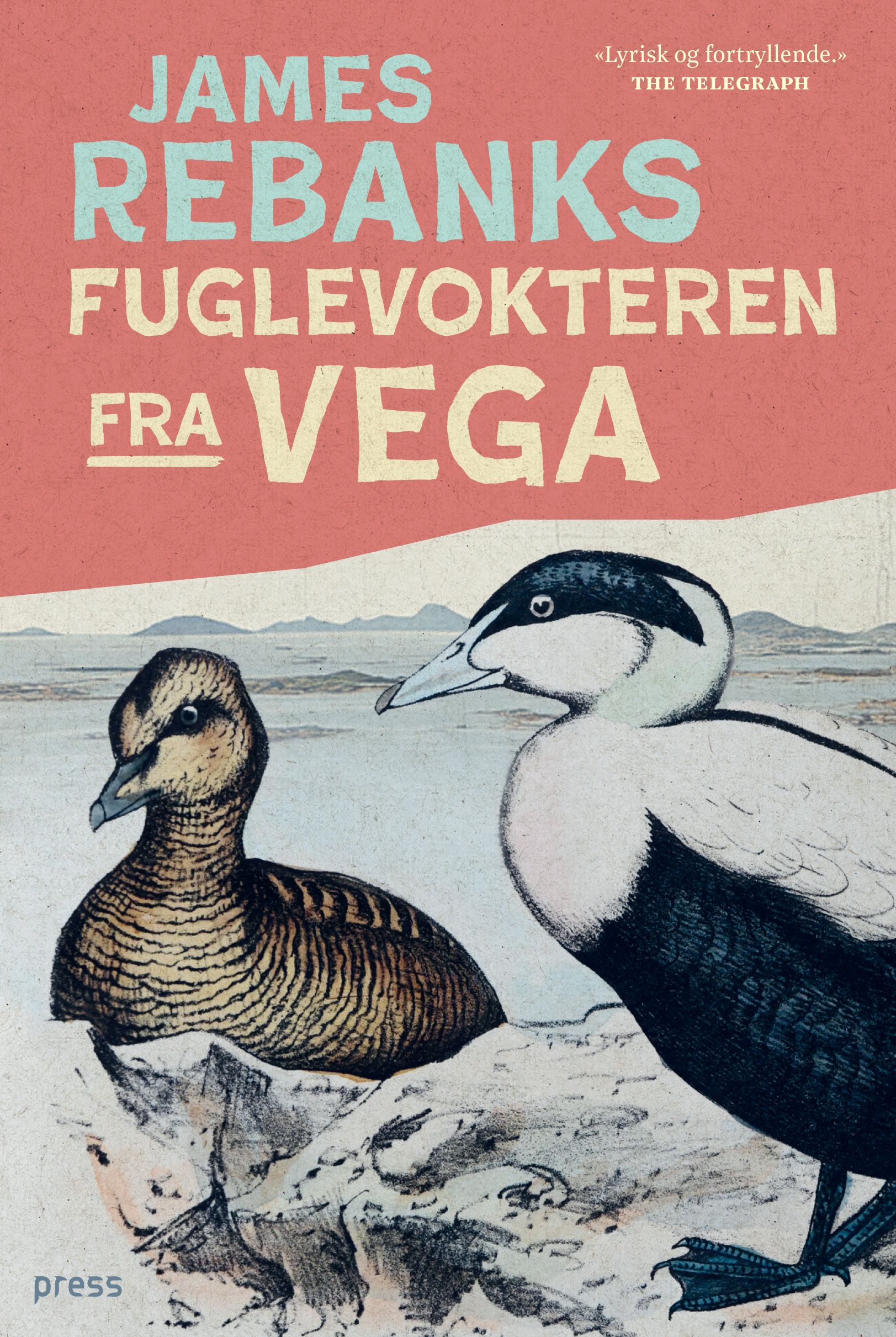 Fuglevokteren fra Vega