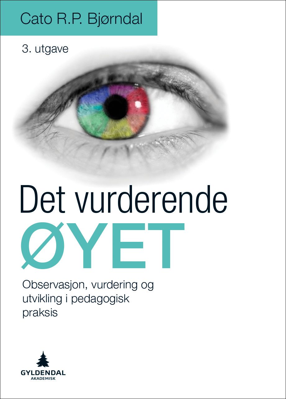 Det vurderende øyet - observasjon, vurdering og utvikling i pedagogisk praksis