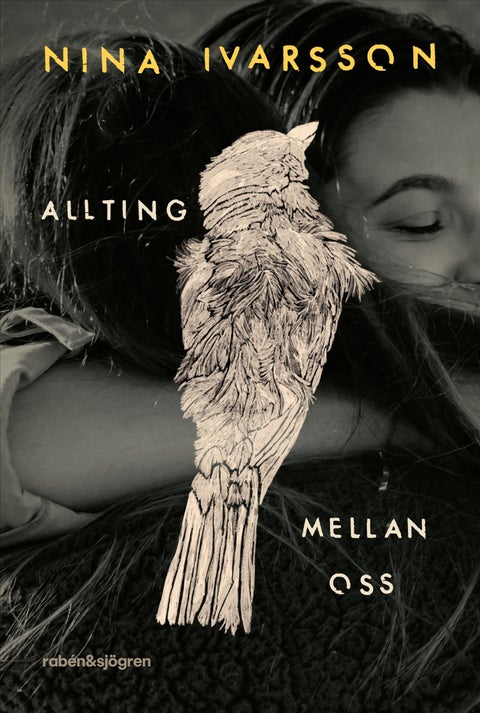 Allting mellan oss