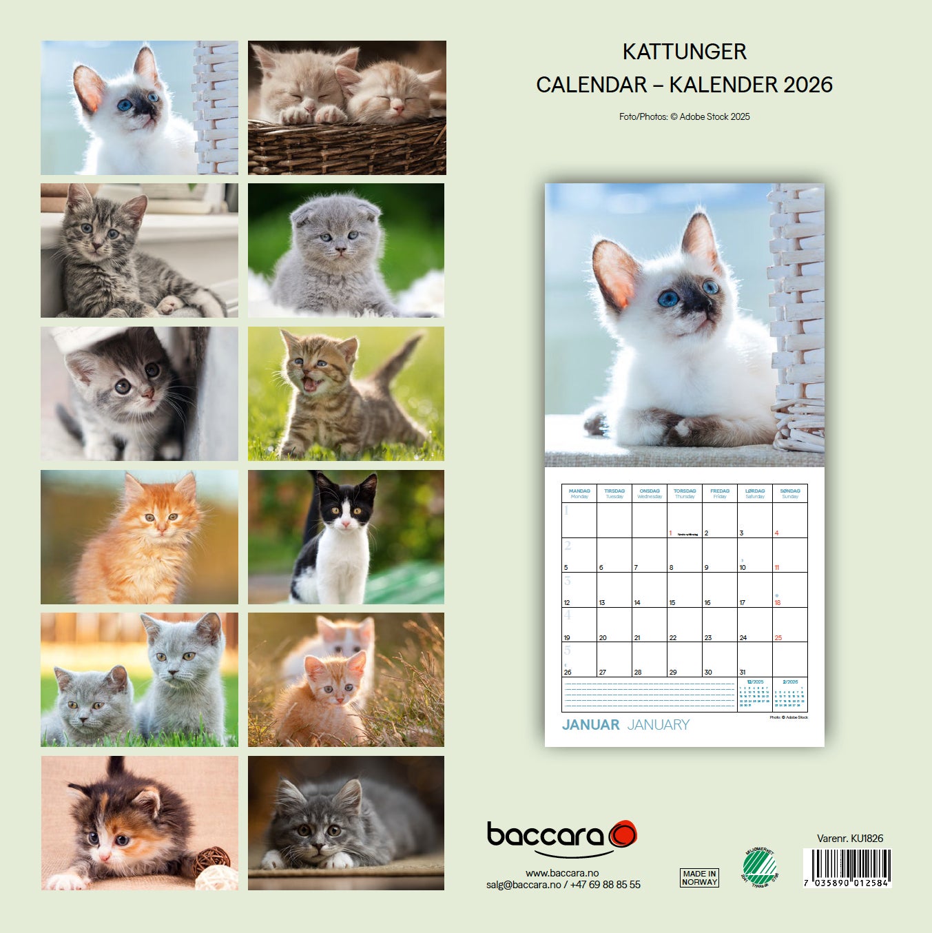 Kalender 2026 Kattunger 18X18Cm