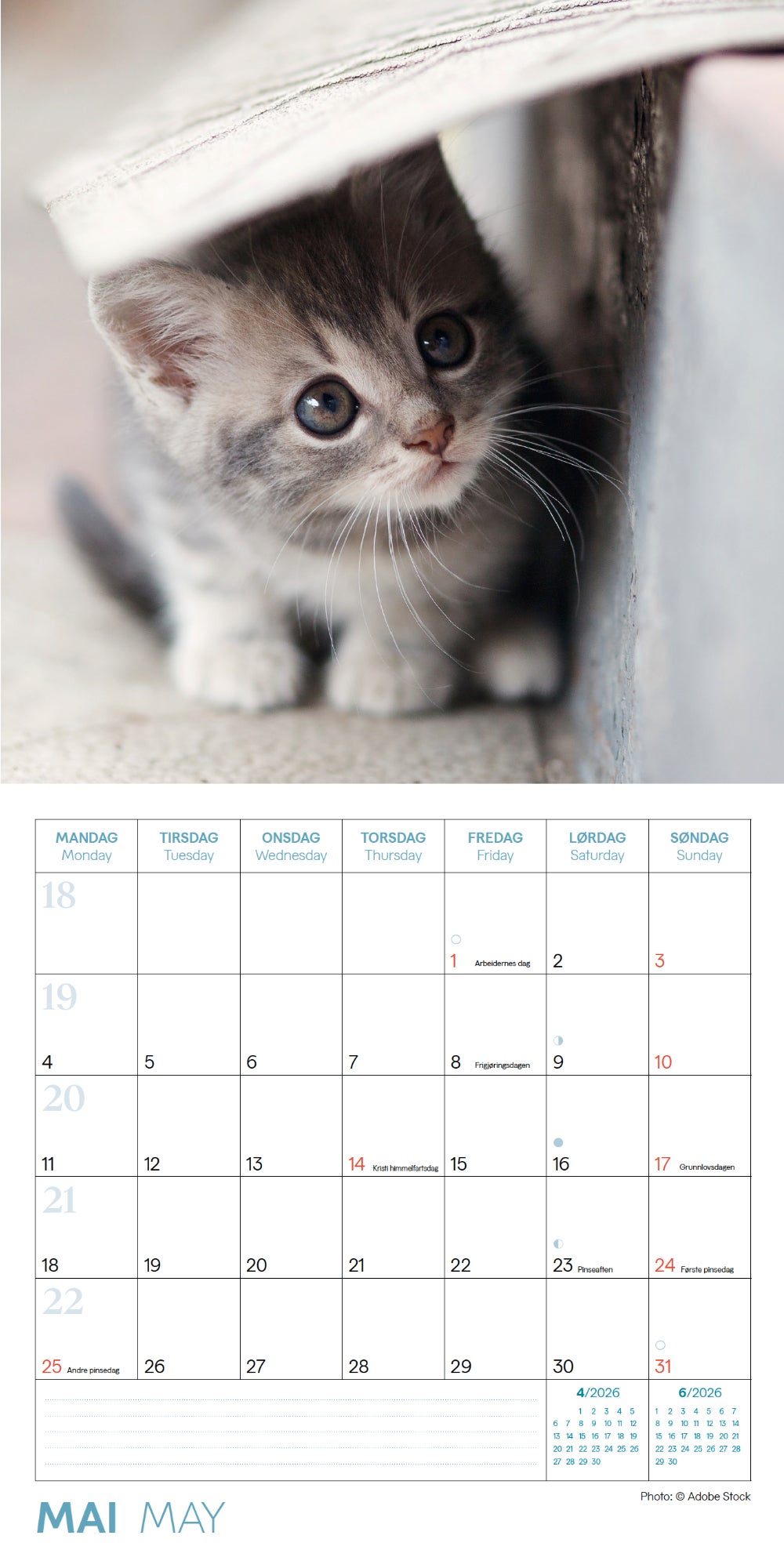 Kalender 2026 Kattunger 18X18Cm