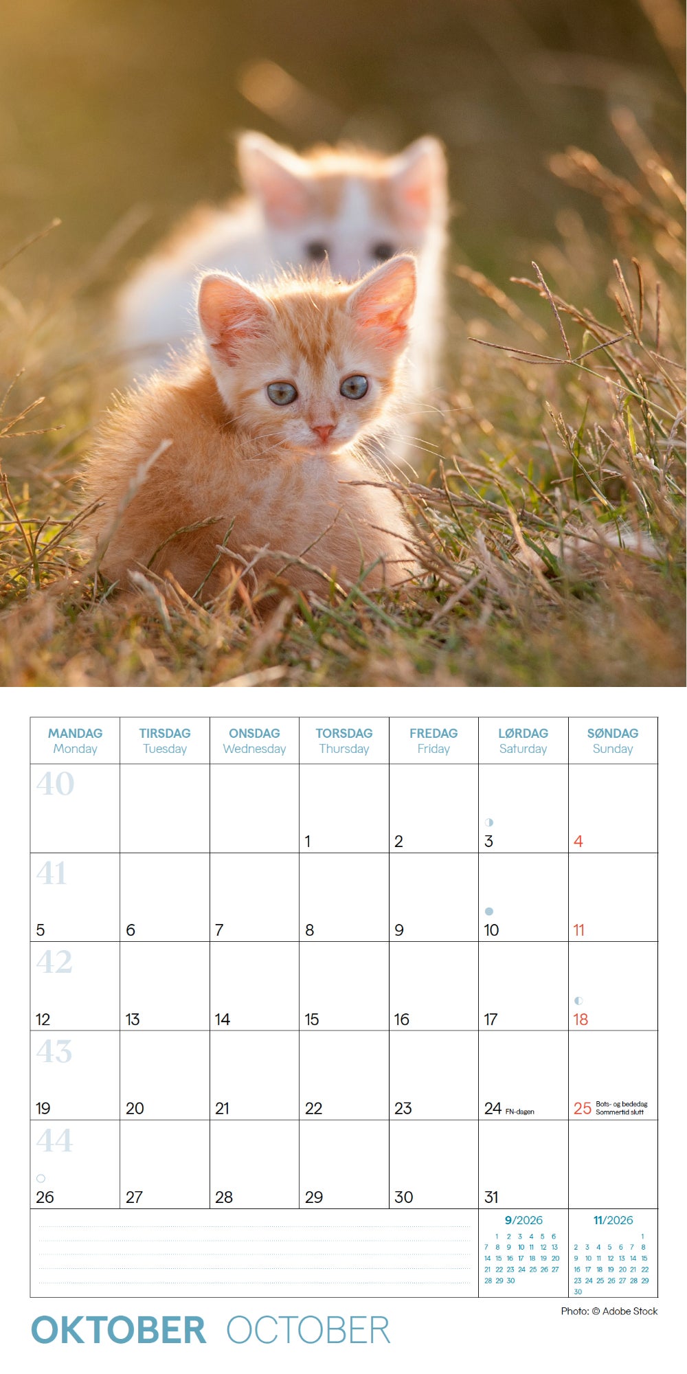 Kalender 2026 Kattunger 18X18Cm