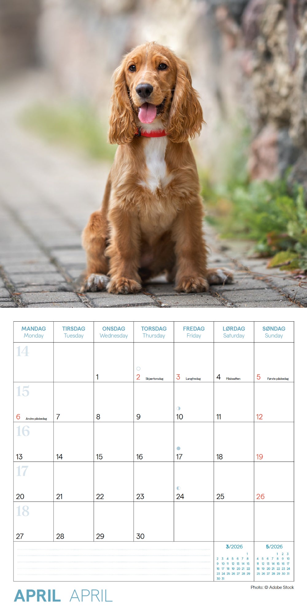 Kalender 2026 Dogs 18X18Cm