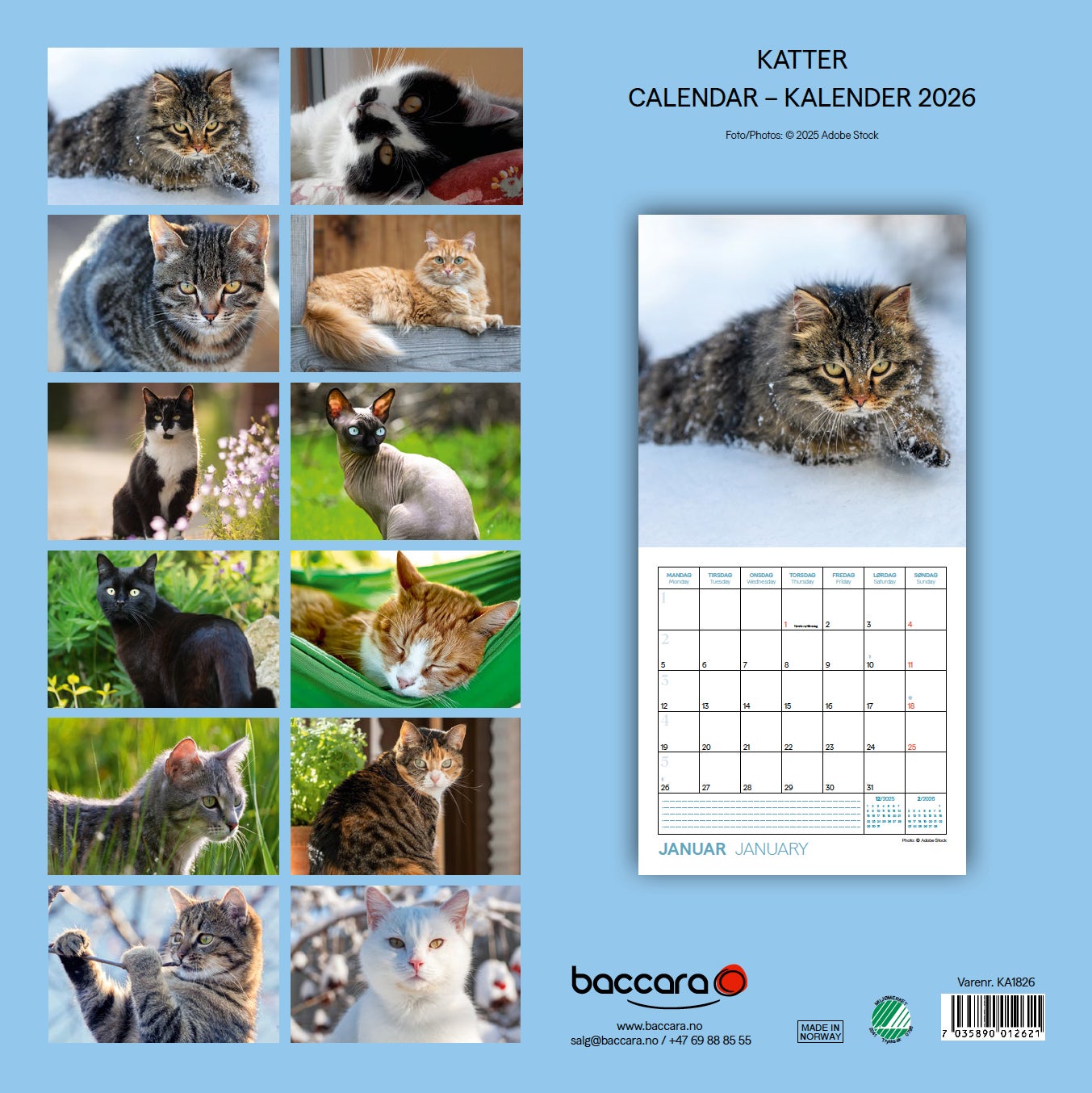 Kalender 2026 Katter 18X18Cm