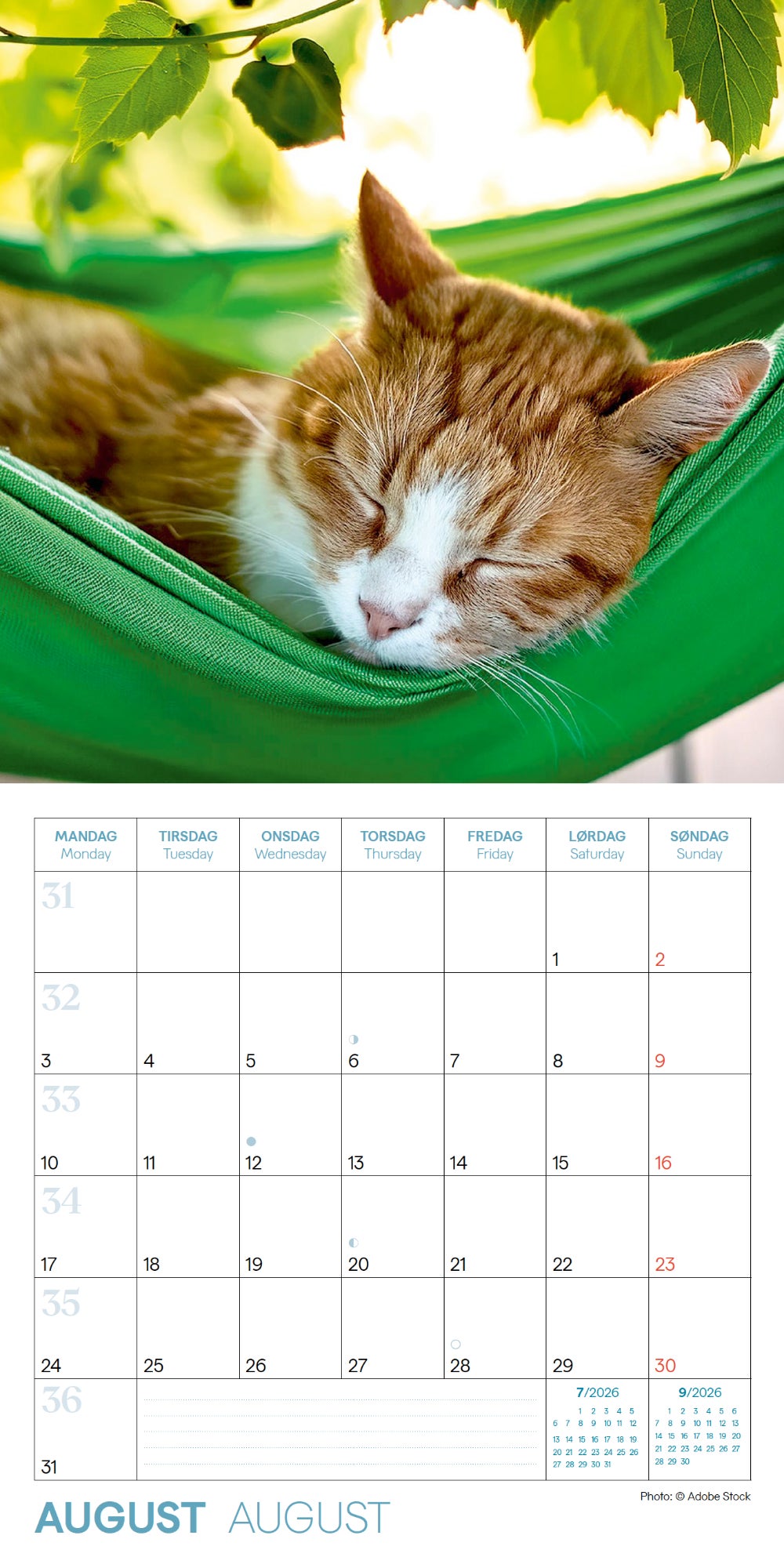 Kalender 2026 Katter 18X18Cm
