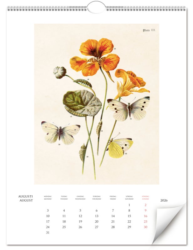 Kalender 2026 Botanical 345X455Mm