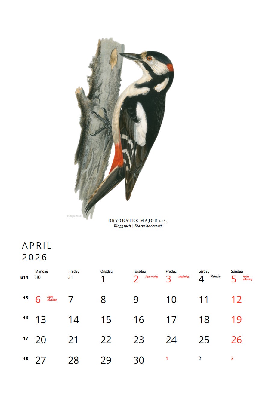 Kalender 2026 Fågler 23X34Cm